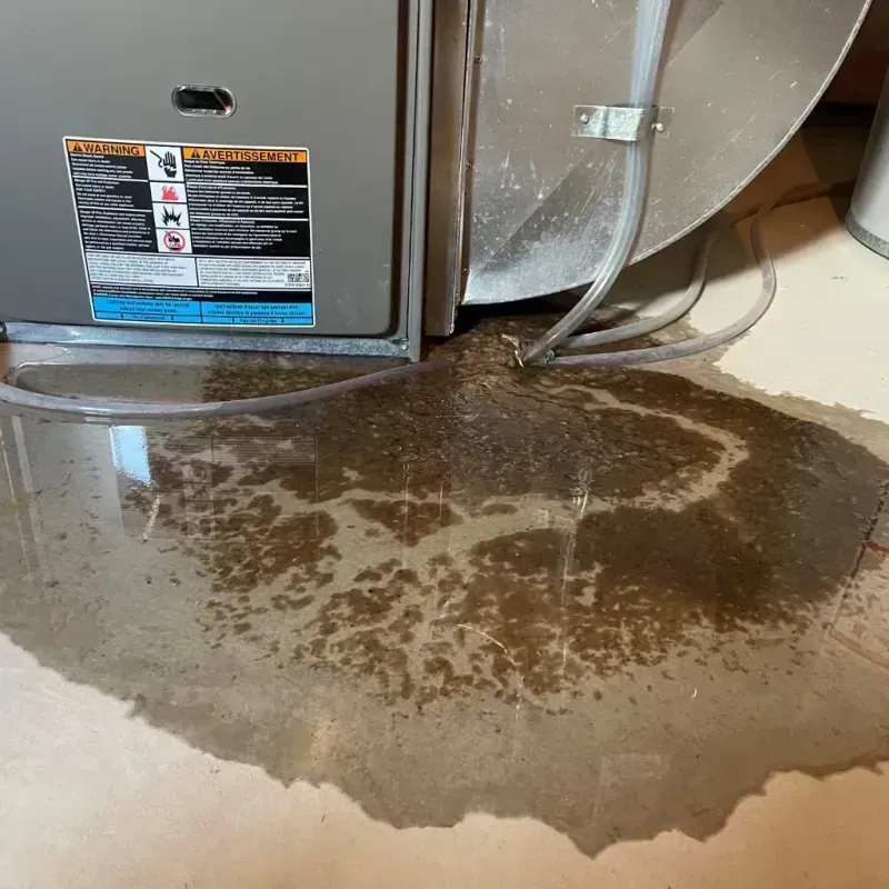 Appliance Leak Cleanup in Nora Springs, IA